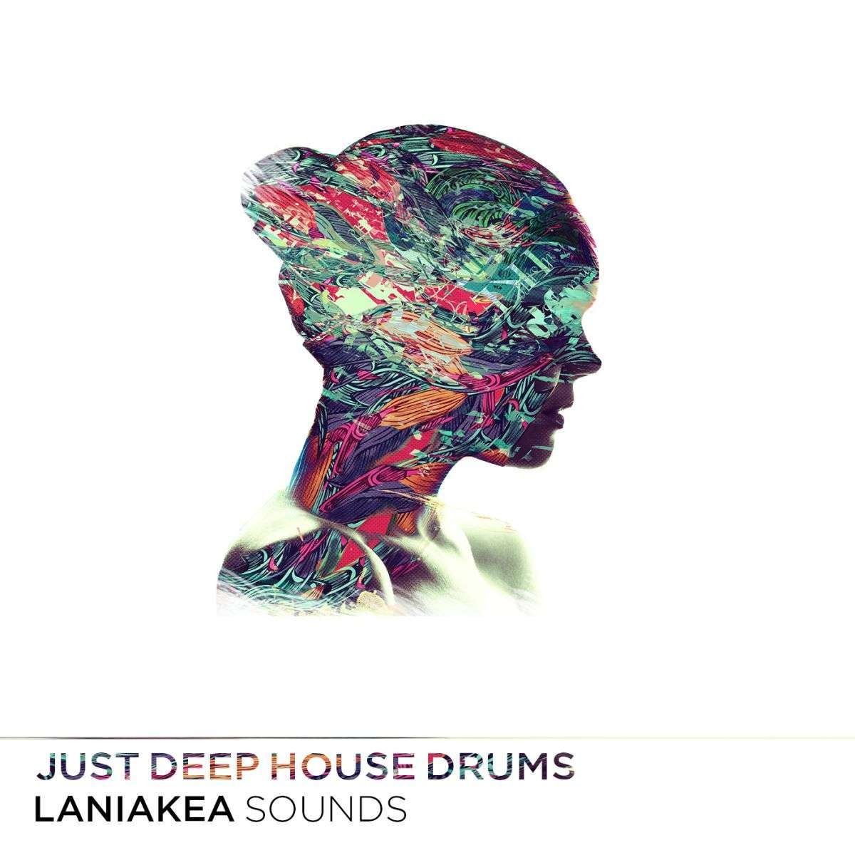 Laniakea Sounds - Just Deep House Drums Sample Packs Software GUI Artwork